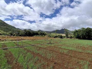 Residential Land