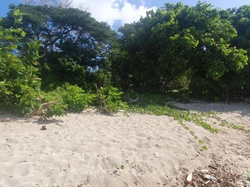 Residential Land