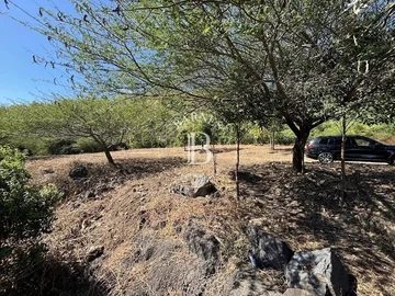 Residential Land