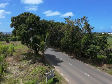 Terrain Commercial