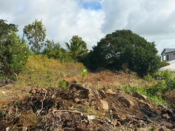 Residential Land
