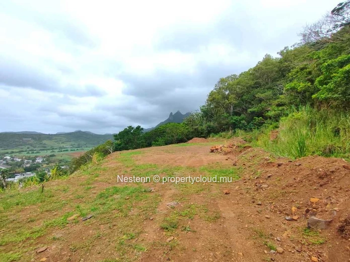 Terrain de 5 arpents en toute propriété 