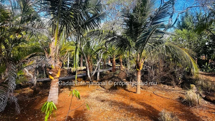 Villa de luxe rénovée à Tamarina – Près d'un hectare de jardin tropical et piscine privée