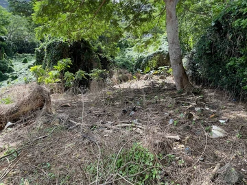 Residential Land
