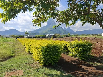 Residential Land