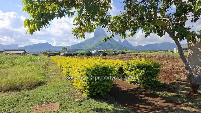 Westcape Reserve
