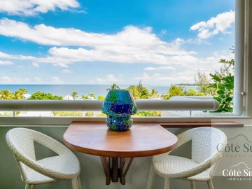 2 Bedroom Penthouse