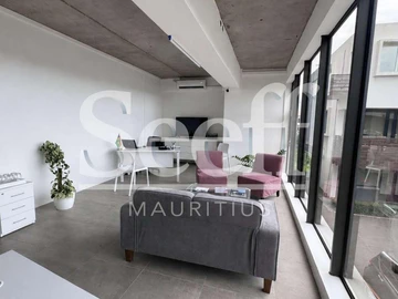 Immobilier Commerciaux