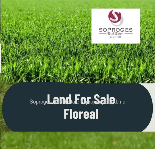 Prime Land For Sale In Floréal