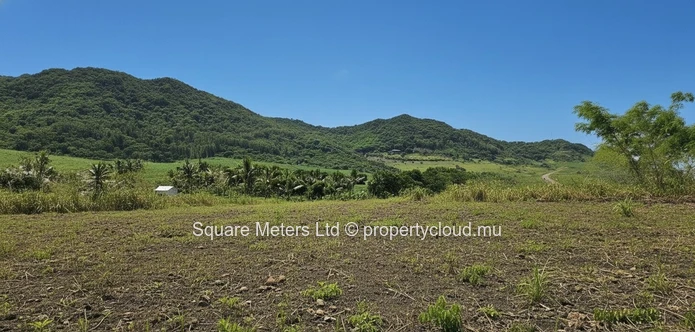 Terrain agricole de 2 406 m² à vendre à Anse Jonchée (Mandat exclusif)