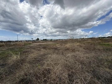 Residential Land