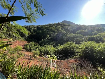 Terrain Résidentiel