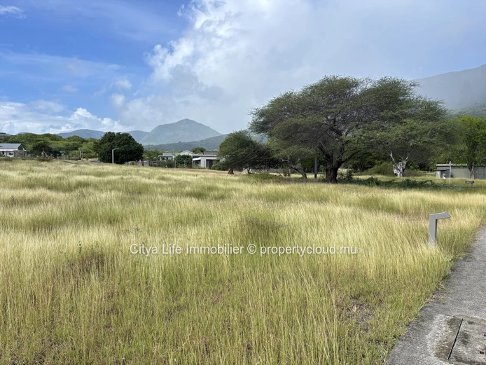 Prime Land for Sale — Black River |Domaine de Palmyre| 2090 m² | Rs