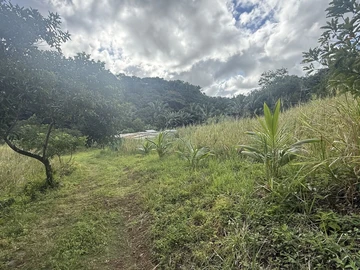 Agricultural Land