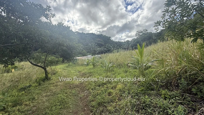 20,466sqm Prime Agricultural Land for Sale in L'Escalier - Rs
