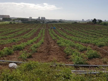 Terrain Agricole