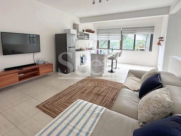 Penthouse de 3 Chambres