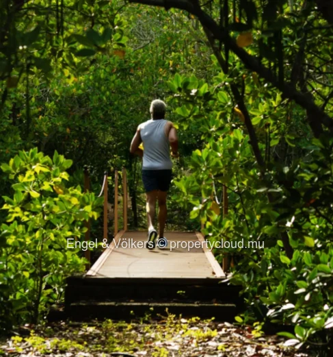 A New Lifestyle Destination – 1-Bedroom Apartment