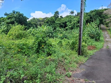 Residential Land