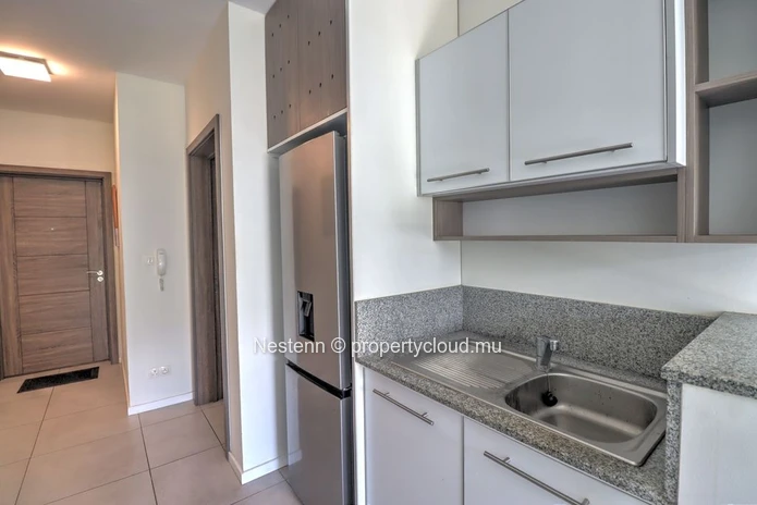 Elegant 1 bedroom apartment - Fully furnished