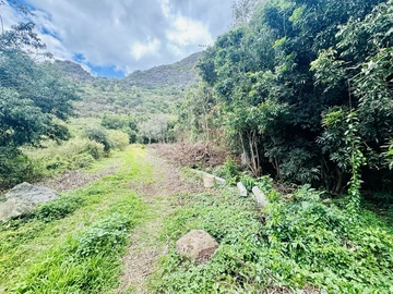 Terrain Agricole
