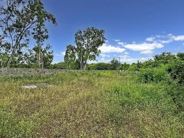 Terrain