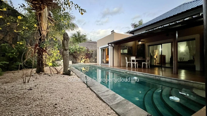 Mountain View Tranquility