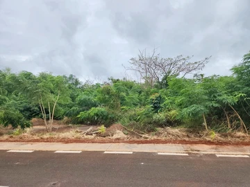 Commercial Land
