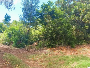 Agricultural Land
