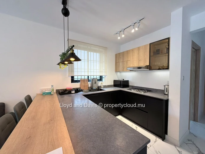 Brand-New Contemporary House with Private Pool in Quatre Bornes