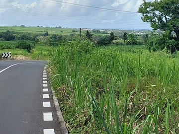 Agricultural Land