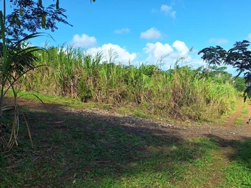 Agricultural Land