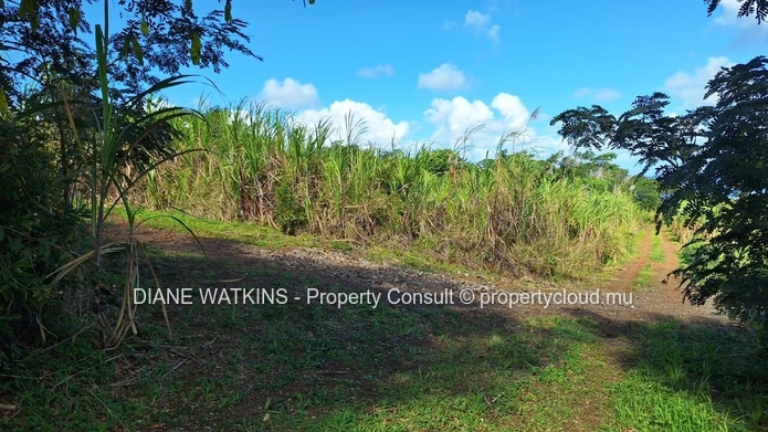 Land for Sale in Baie du Cap, Mauritius – 2,532.52 m² with Sea & Mountain Views