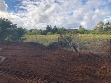 Terrain Agricole