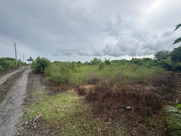 Residential Land