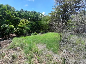 Land
