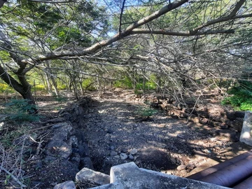 Residential Land