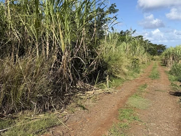 Agricultural Land