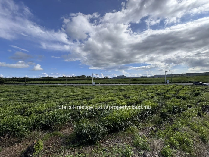 Opportunité Rare : Terrain de 1 055 m² de Premier Choix à Vendre à Bois Chérie – 2.8 Millions de roupies Seulement !
