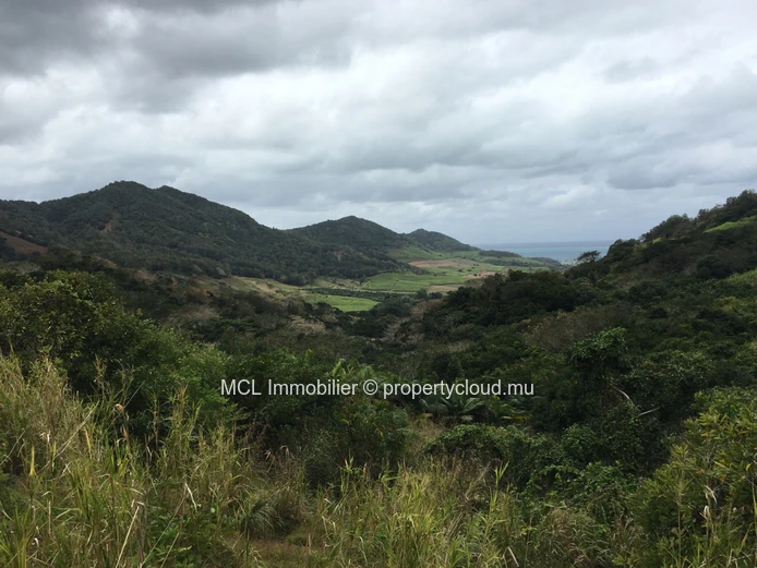Terrain agricole de 9 arpents 42 perches  à Anse Jonchée