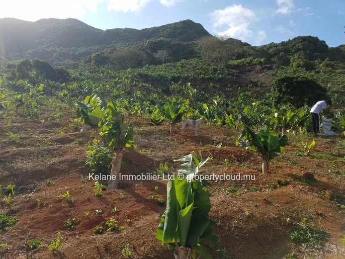 13.38 Arpents of Land for Sale | Anse Jonchée | Grand Port