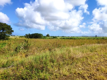 Agricultural Land