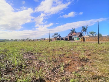 Land