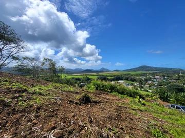 Terrain