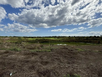 Terrain