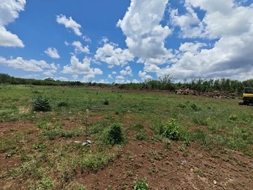 Land