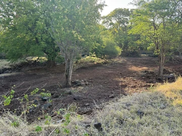 Residential Land