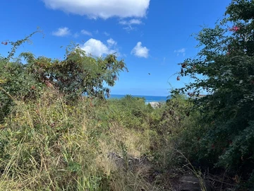 Residential Land