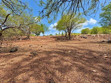Residential Land