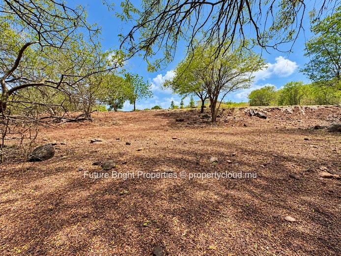 Terrain Exceptionel a vendre au Domaine de Palmyre